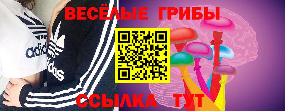 Галлюциногенные грибы GOLDEN TEACHER Десногорск